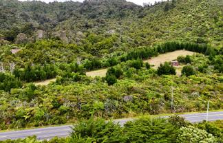 5296D State Highway 6, Punakaiki