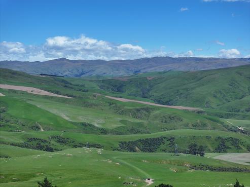 980 Moa Flat Road, Ettrick