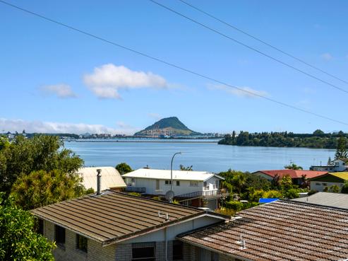 359 Maungatapu Road, Maungatapu