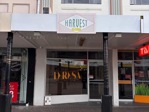 122 Emerson Street, Napier South