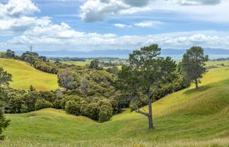 551 Kaiaua Road, Kaiaua