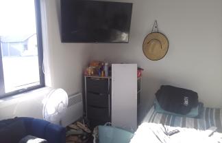 5 Room B/85 Cameron Road, Hamilton East
