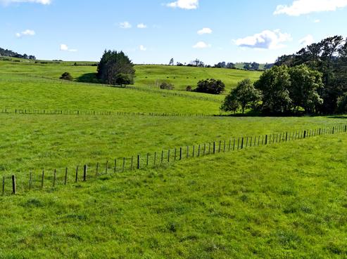 11 Pool Road, Wellsford