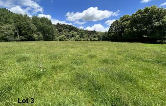 Near 1757 Tarata Road, Tarata