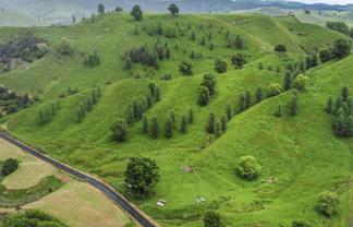  Hikumutu Road, Taumarunui