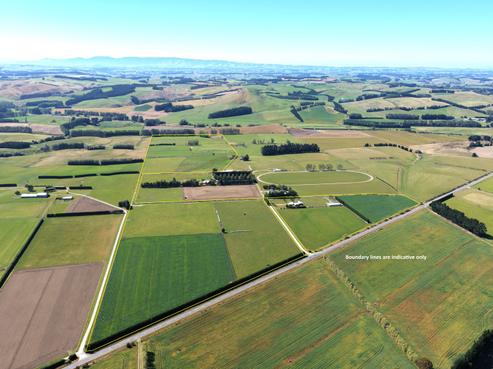 391A Otama Road, Gore Surrounds