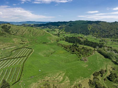 2338 State Highway 2, Nukuhou