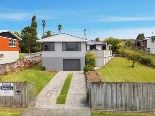 14 Gilmore Street, Te Puke