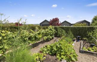 32 Lacebark Drive, Kinloch