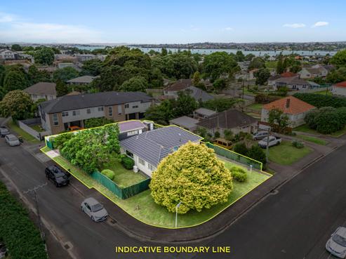 76 Court Crescent, Panmure