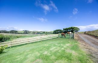 410 Mahuta Road, Dargaville