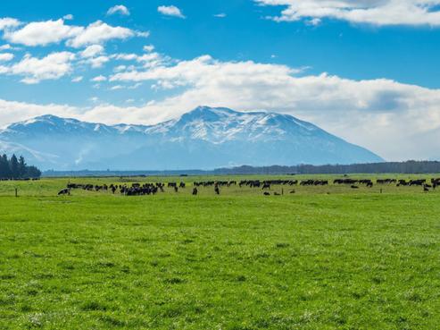 2058 Ashburton Staveley Road, Methven