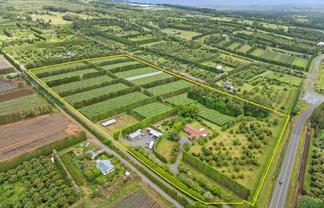 1614 State Highway 14, Maungatapere