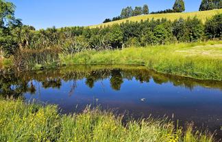 143C Smith Road, Dannevirke