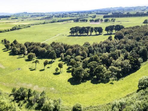 162 Hamua Hukanui Road, Eketahuna