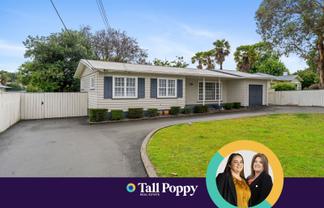 39 Macarthur Street, Levin