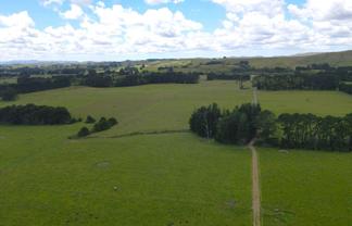 220 Larsen Road, Eketahuna