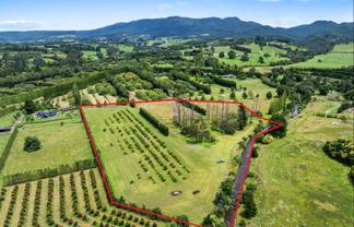 30B Thompsons Track, Aongatete