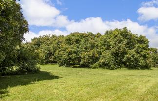 243A Wright Road, Katikati