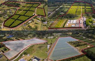  89 Kapiro Road, 108 Kapiro Road, 409 Kapiro Road a, Kerikeri