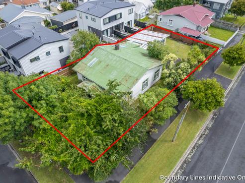 131 Nixon Street, Hamilton East