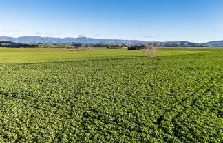  Pareora River Road, Southburn