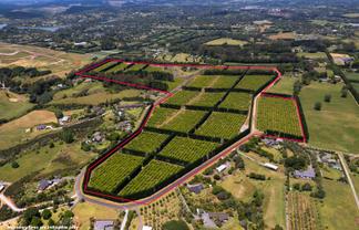 409 Kapiro Road, Kerikeri