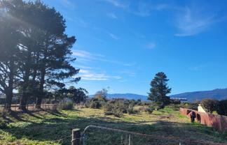 153A Queen Street, Westport