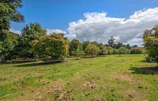 115A&B Kara Road, Maungatapere