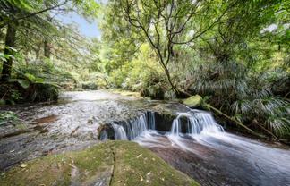 280 Old Kaimai Road, Kaimai