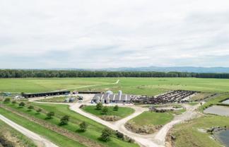 17 Young Road, Temuka