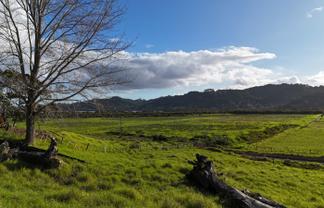 Lot 1 Motukiore Road, Horeke