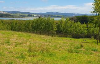 237 Hewlett Road, Mata