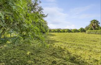 2/196 Flume Road, Cambridge, Te Miro