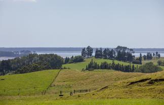 250 Busby Road, Katikati
