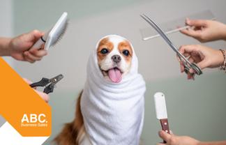 High Turnover High Profit Pet Grooming Business