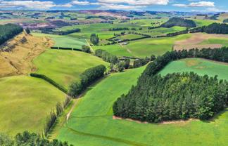 82 Paradise Gully Road, Ngapara