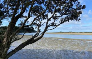 1/2043 Ngunguru Road, Ngunguru