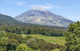 2784 Carrington Road, Okato