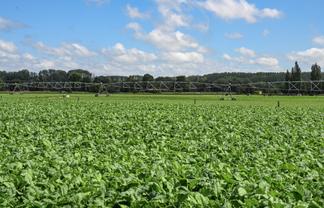 77 Arowhenua Station Road, Timaru