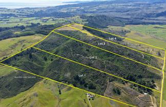 1419 Collingwood-Bainham Main Road, Collingwood