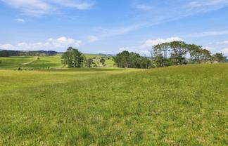 Mount Wesley Coast Road, Dargaville