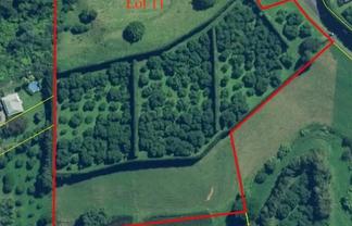 11/ Timon Drive, Katikati