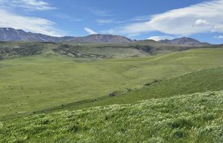  Prestons Road, Kyeburn