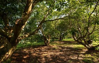 10A Bridgman Lane, Tanners Point, Katikati