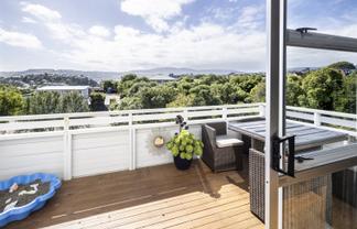 26 Spottiswoode Street, Andersons Bay