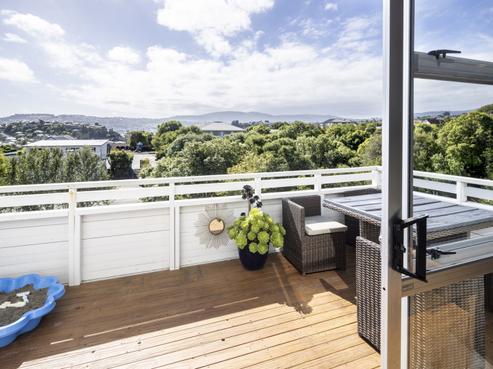 26 Spottiswoode Street, Andersons Bay