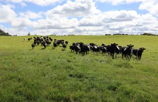 1 Waitaanga Road, Ahititi