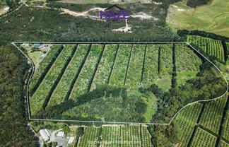 377 Paparore Road, Kaitaia