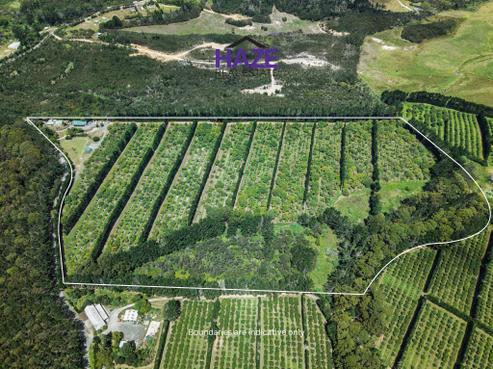 377 Paparore Road, Awanui